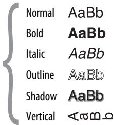 DYMO LABELMANAGER 260P - Font Styles - 2