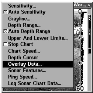 LOWRANCE LMS-240 - Données du graphique - 1