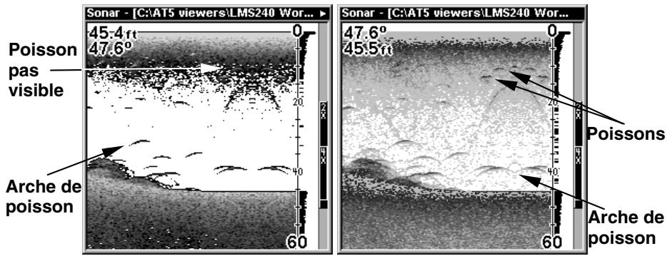 LOWRANCE LMS-240 - FishRevealTM - 1