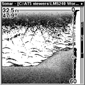 LOWRANCE LMS-240 - Bande grise - grayline® - 2