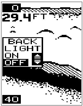 LOWRANCE X48 - Affichage : généralités - 1
