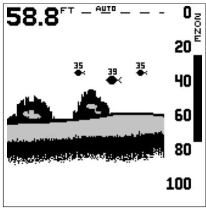 LOWRANCE X65 - SONAR numérique - 2