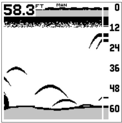 LOWRANCE X65 - Réglage de graphique - 2