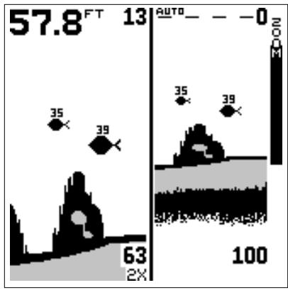 LOWRANCE X65 - SONAR numérique - 1