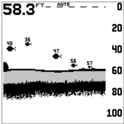 LOWRANCE X65 - Graphique entier - 1