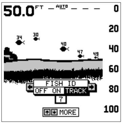 LOWRANCE X65 - Repérage des poissons - 1