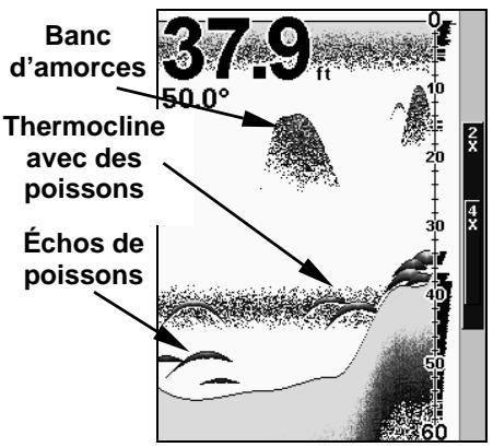 LOWRANCE X67C - Fonctionnements du Sonar - 1