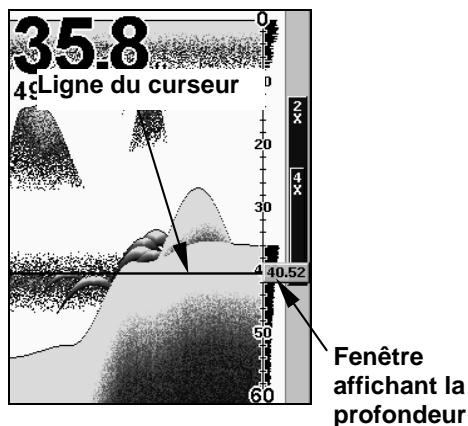 LOWRANCE X67C - Curseur de Profondeur - 2