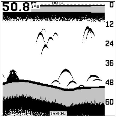 LOWRANCE X85 - Graphique divisé - 1