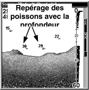 LOWRANCE X98DF - Profondeur du poisson (FishTrackTM) - 3