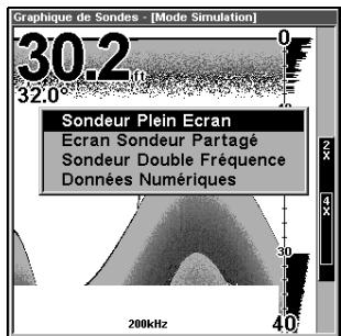 LOWRANCE X98DF - Options d'affichage - 1