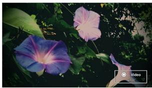 OPTOMA PK120,  PK301,  PK320 - COMMENT UTILISER UNE SOURCE D'ENTREE EXTERIEURE : VGA / COMPOSITE AV - 14