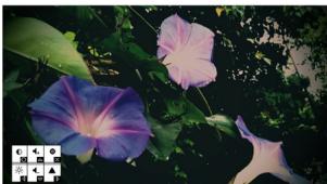 OPTOMA PK120,  PK301,  PK320 - COMMENT UTILISER UNE SOURCE D'ENTREE EXTERIEURE : VGA / COMPOSITE AV - 17