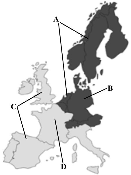BECKER DTM HIGH SPEED - CD de navigation - 1