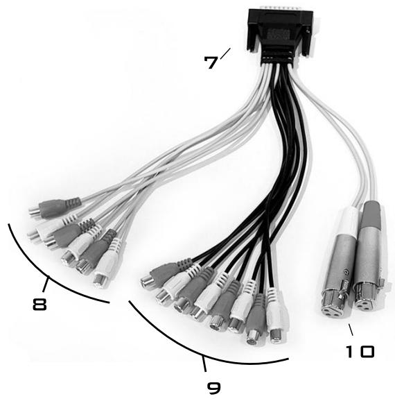 M-AUDIO DELTA1010LT - Cable epanoui 1 - 1