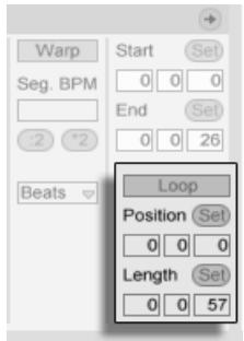 M-AUDIO ABLETON LIVE 5 - Bouclage de Clips - 1