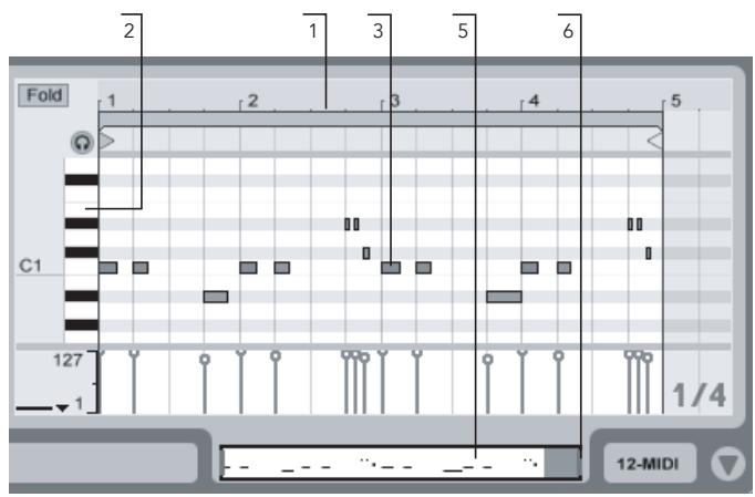M-AUDIO ABLETON LIVE 5 - Navigation et transport dans l'Editeur MIDI - 2