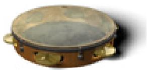 M-AUDIO LATIGO - Maracas - 2