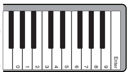 M-AUDIO OXYGEN 49 (BLUE) - Fonctions de programmation avancées - 3