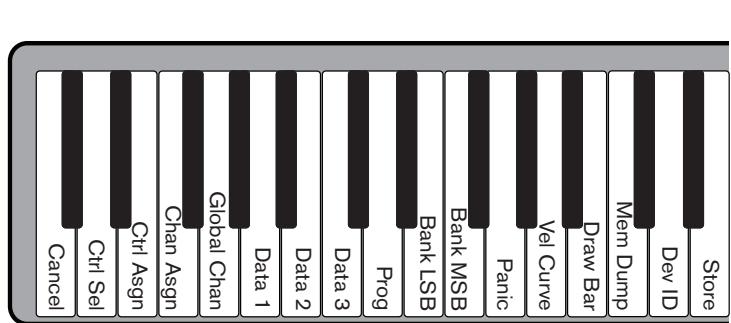 M-AUDIO OXYGEN 49 (BLUE) - Fonctions de programmation avancées - 2