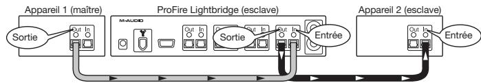 M-AUDIO PROFIRE LIGHTBRIDGE - Branchement de votre équipement numérique - 2