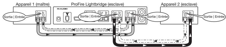M-AUDIO PROFIRE LIGHTBRIDGE - Branchement de votre équipement numérique - 3