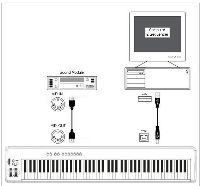M-AUDIO PROKEYS 88SX - Contrôler un module de son depuis l'ordinateur - 1