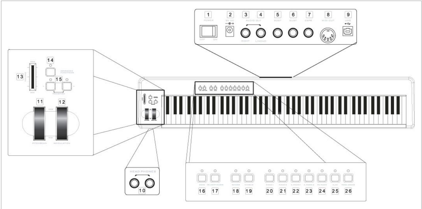 M-AUDIO PROKEYS 88SX - Scheme des contrôles et connecteurs - 1