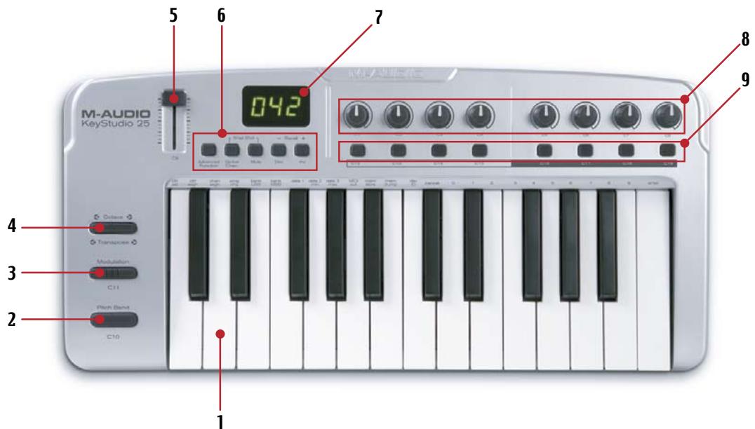M-AUDIO SESSION KEYSTUDIO 25 - Face avant - 1