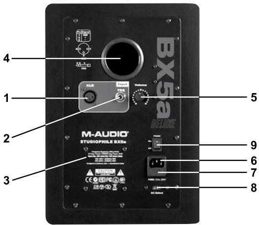 M-AUDIO STUDIOPHILE BX5A DELUXE - Face arrière - 1