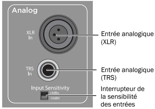 M-AUDIO STUDIOPHILE DSM1 - Branchement des entrées analogiques - 1