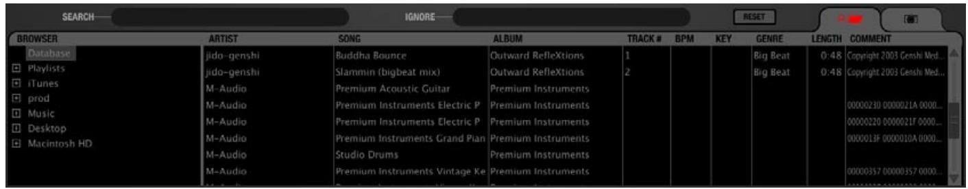 M-AUDIO TORQ LE - Explorateur/Base de données - 1