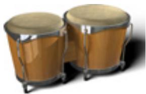 M-AUDIO WIZOO LATIGO - Cabasa - 3