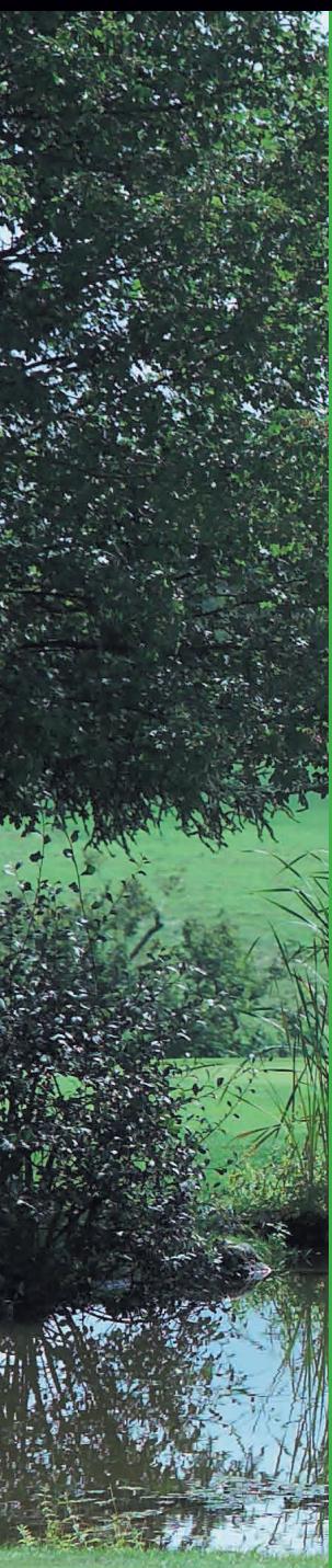 FARTOOLS ET25 - HEDGE TRIMMER - 2