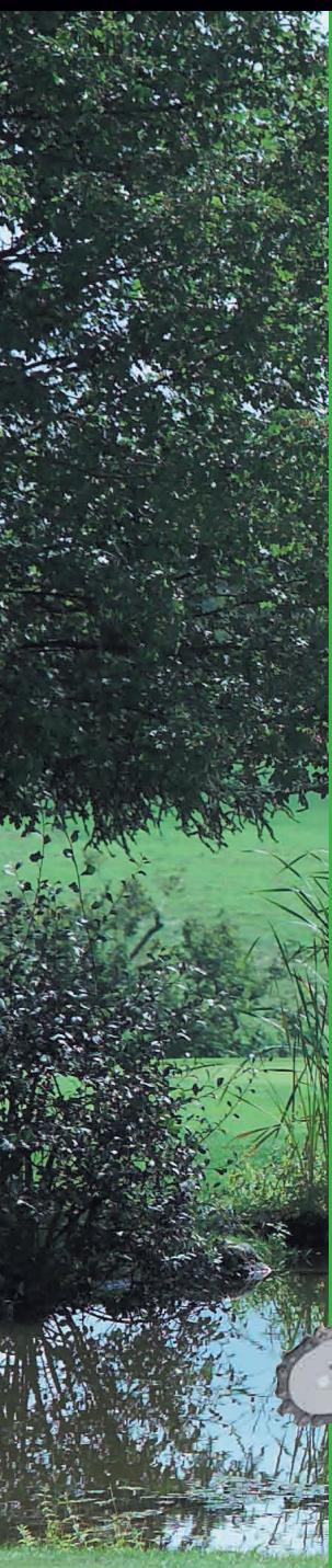 FARTOOLS TC1800B - CHAIN SAW - 2