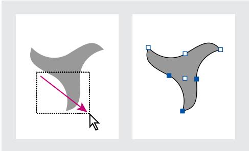 ADOBE INDESIGN 2 0 - Manipulation de points et de segments multiples sur un tracé - 1