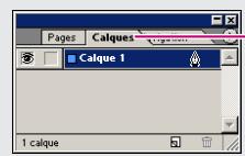 ADOBE INDESIGN 2 0 - Modification de l'affichage des palettes - 1