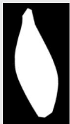 ADOBE INDESIGN 2 0 - A propos des tracés incorpores et des couches alpha - 2