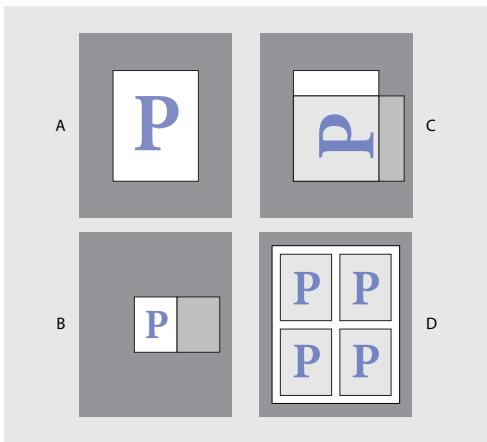 ADOBE INDESIGN 2 0 - Affichage des proportions d'un document - 1