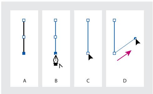 ADOBE INDESIGN 2 0 - Pour dessiner un segment droit suivi d'un segment incurve : - 1