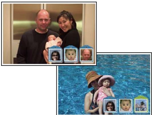 ADOBE PHOTOSHOP ELEMENTS 6 - A propos des étiquettes de mots-clés - 1