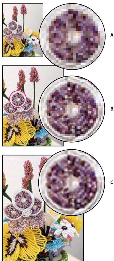 ADOBE PHOTOSHOP ELEMENTS 6 - Rééchantillonnage d'une image - 1