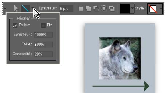 ADOBE PHOTOSHOP ELEMENTS 6 - Dessen d'unTrait ou d'une flèche - 1