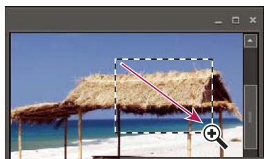 ADOBE PHOTOSHOP ELEMENTS 6 - Agrandissement ou réduction de l'image - 1