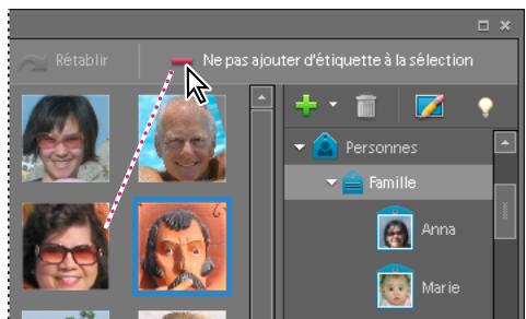 ADOBE PHOTOSHOP ELEMENTS 6 - Recherche automatique de visages pour l'ajout d'étiquettes - 4