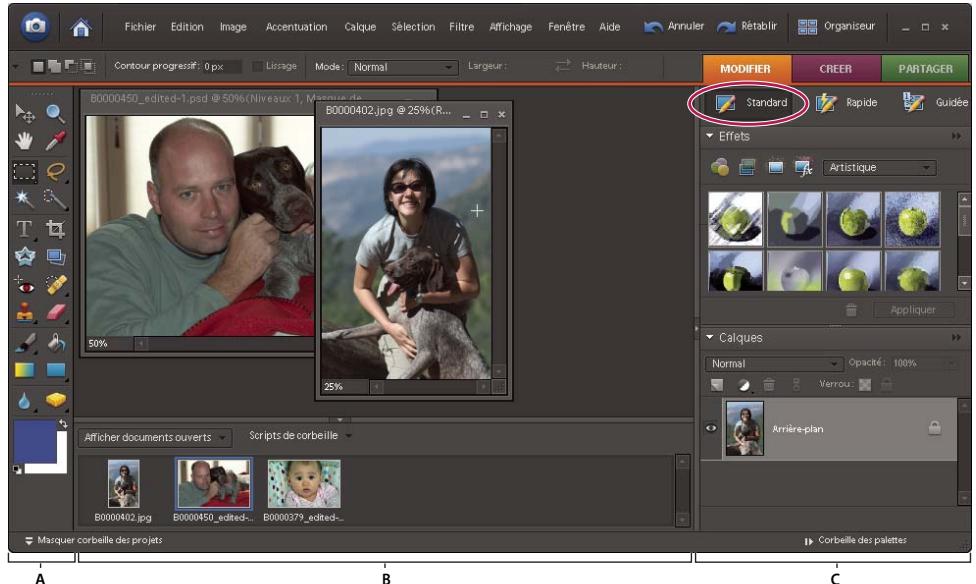ADOBE PHOTOSHOP ELEMENTS 6 - Correction de la couleur en mode Retouche standard - 1