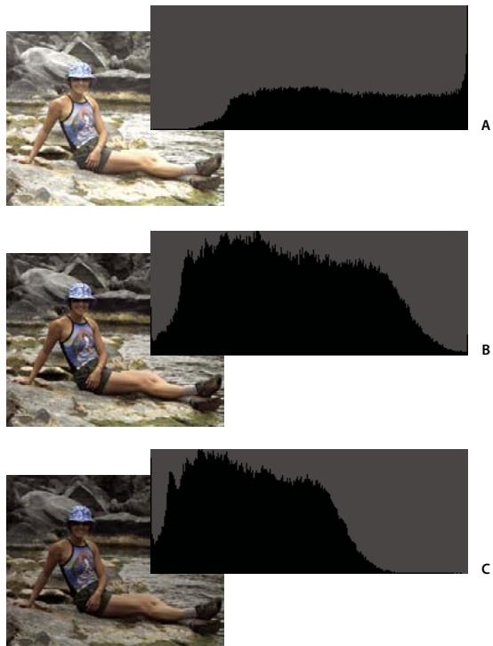 ADOBE PHOTOSHOP ELEMENTS 6 - A propos des historiammes - 2