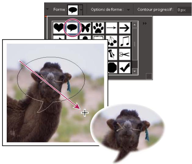 ADOBE PHOTOSHOP ELEMENTS 6 - Utilisation de l'outil Emporte-piece - 1