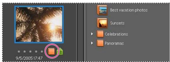 ADOBE PHOTOSHOP ELEMENTS 6 - Ajout d'une photo à un album - 2