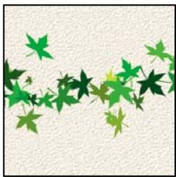 ADOBE PHOTOSHOP ELEMENTS 6 - A propos des options de forme - 5